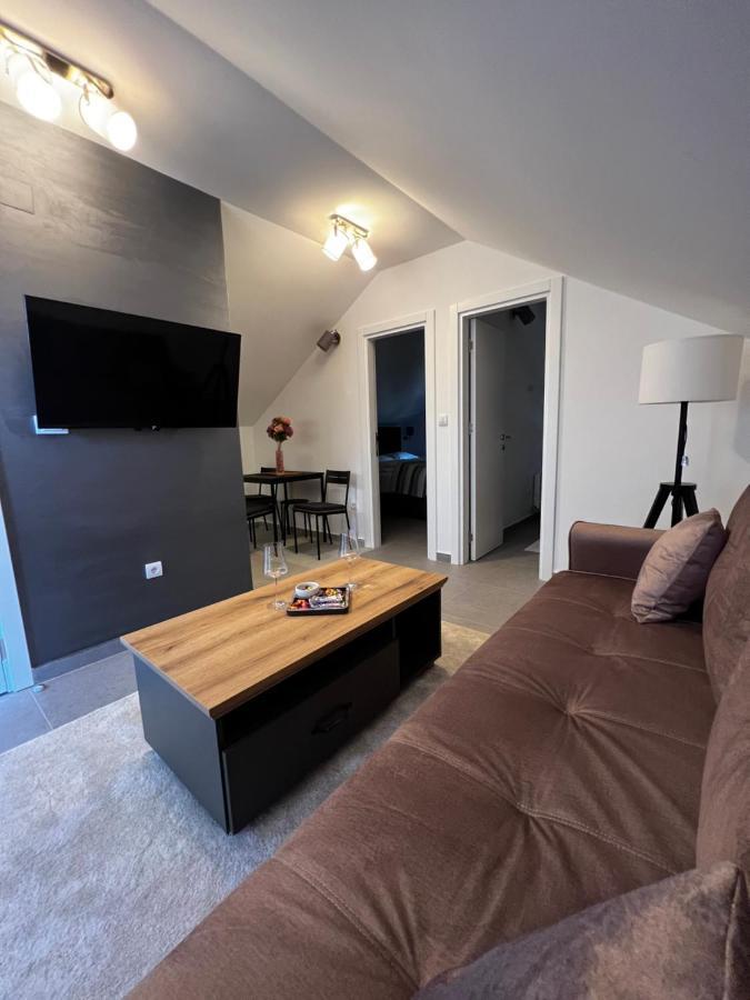 Ortak Apartment Belgrad