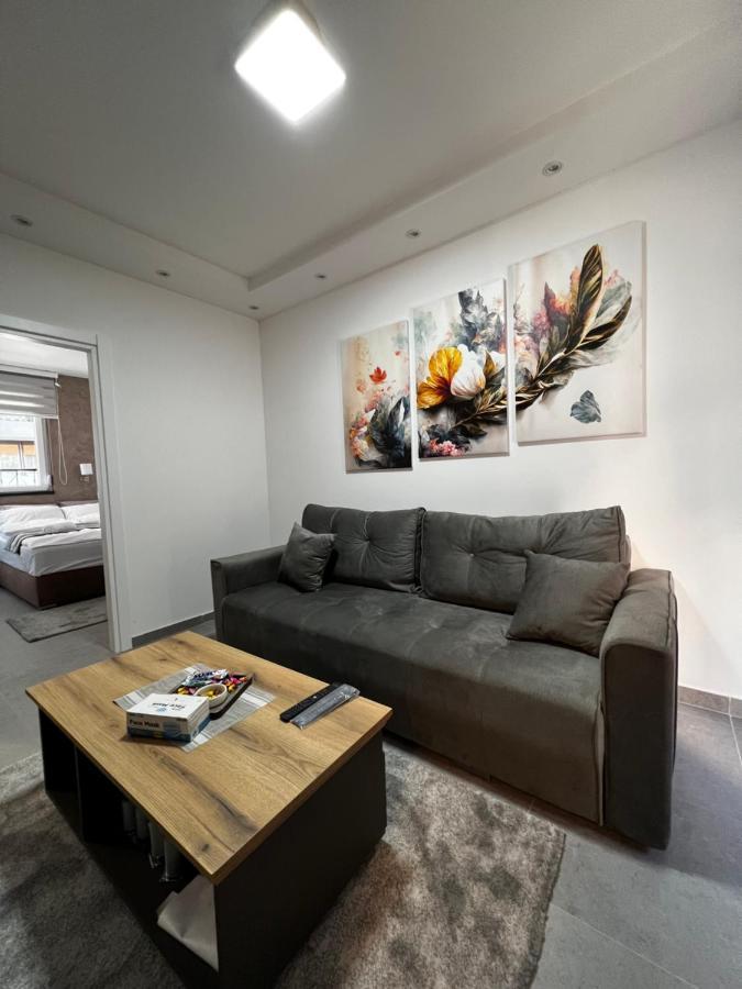 Ortak Apartment